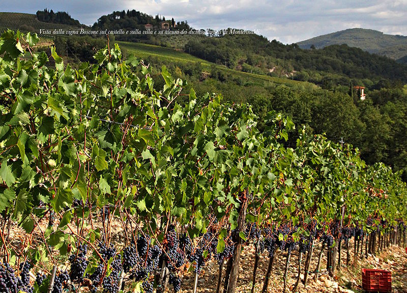 ca. 5 km nach Radda in Chianti